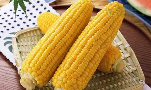 粗粮玉米可以减肥还补钙一举多得